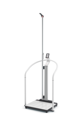 Mobile Handrail Scale
