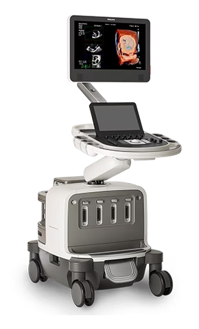 
                  
                    Ultrasound
                  
                