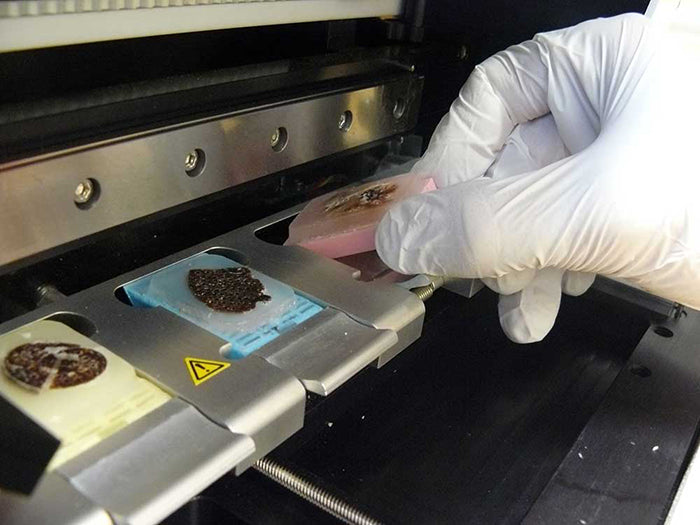 
                  
                    Tissue Microarrayers
                  
                